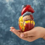 Heart Health Restored: An In-Depth Look at Coronary Artery Bypass Grafting (CABG)