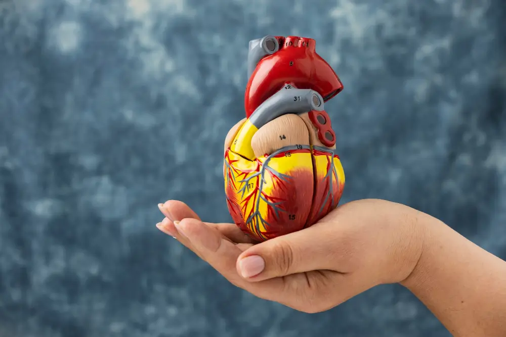 Heart Health Restored: An In-Depth Look at Coronary Artery Bypass Grafting (CABG)